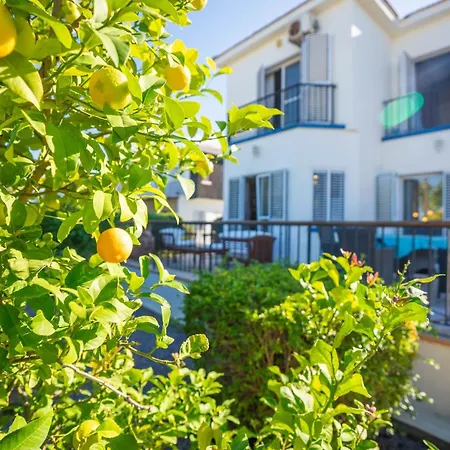 Karlsen With Private Pool And View *