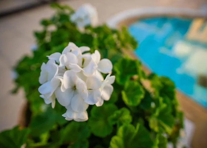 Karlsen With Private Pool And View ヴィラ *